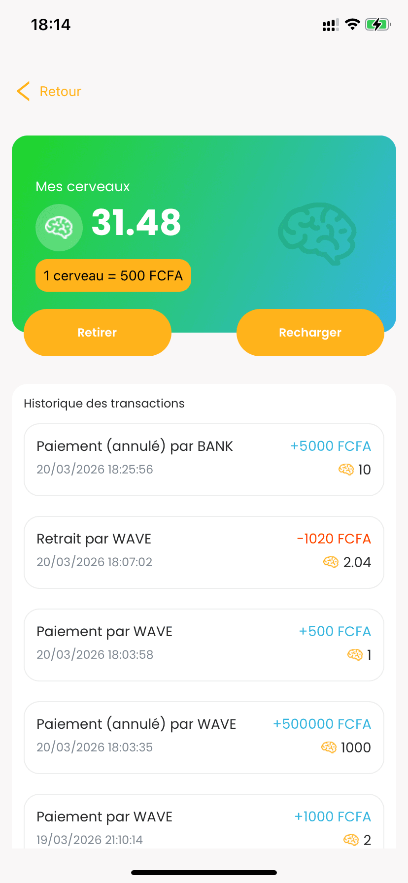 Portefeuille Squiz Brain